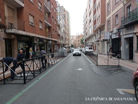 la terra salamanca|La terra Van Dyck, Calle Sarasate, 17, Salamanca (2024)